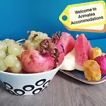 Arimatea Pensjonat